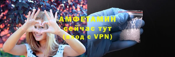шишки Верея