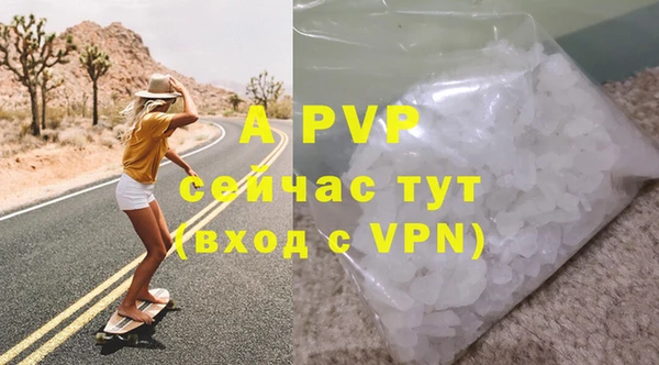 шишки Верея